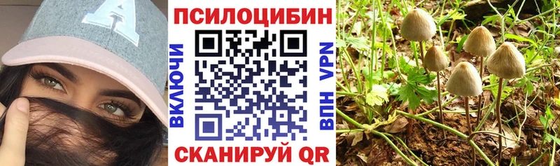 даркнет сайт Монино Псилоцибиновые грибы Magic Shrooms